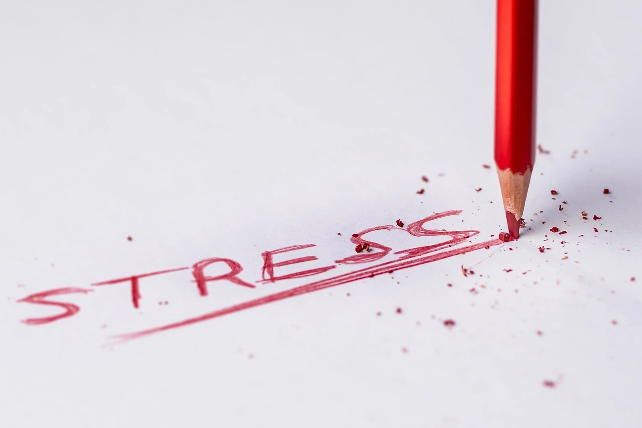 Stresi Azaltmanın Yolları: Zihinsel Rahatlık ve Dengenin Anahtarı